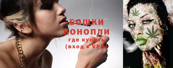 дживик Козловка