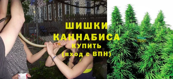 a pvp Коряжма