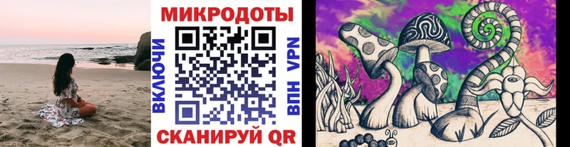 ОМГ ОМГ рабочий сайт  Клинцы  Галлюциногенные грибы Psilocybe 