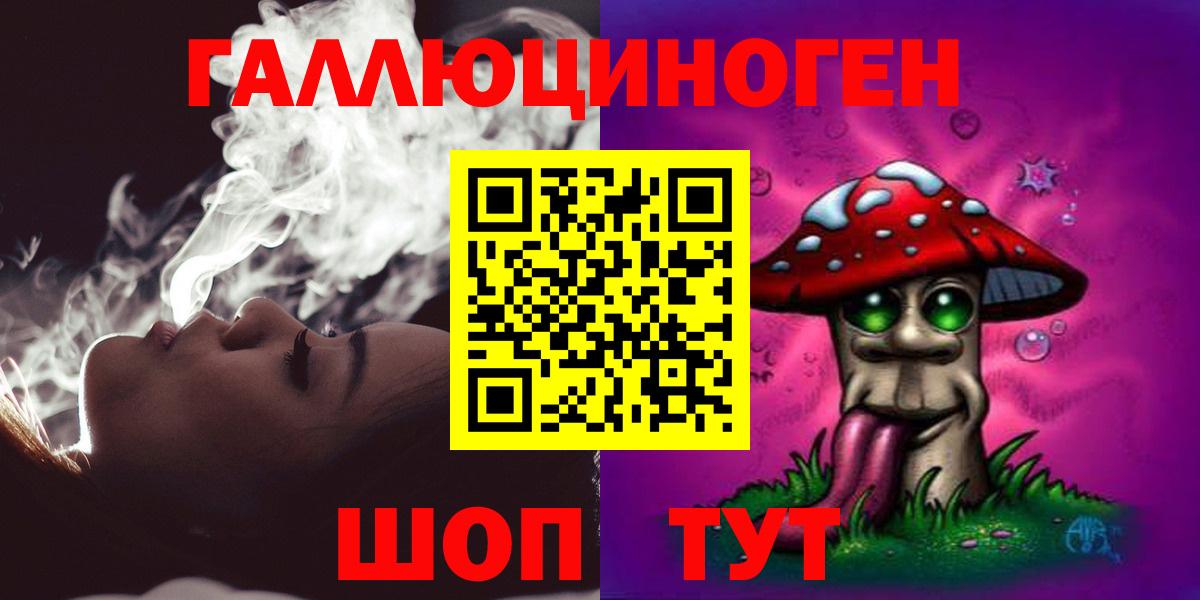 Галлюциногенные грибы Psilocybe Клинцы